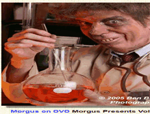 Tablet Screenshot of morgus.com